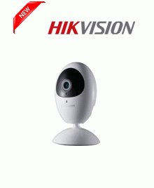 Camera IP HIKVISION DS-2CV2U01EFD-IW